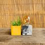 Design objects - Concrete Lamp | Cube | Marble anthracite - JUNNY