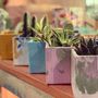 Objets de décoration - Pot à fleurs, à succulentes et à cactus | Pot en béton coloré et marbré - JUNNY