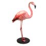 Pièces uniques - Flamingo Taxidermy - DMW.NU: TAXIDERMY & INTERIOR