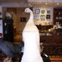 Decorative objects - White peacock taxidermy - decorative object - DMW.NU: TAXIDERMY & INTERIOR