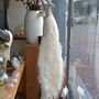 Decorative objects - White peacock taxidermy - decorative object - DMW.NU: TAXIDERMY & INTERIOR