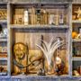 Pièces uniques - Notre showroom & Atelier - handmade decorative objects  - DMW.NU: TAXIDERMY & INTERIOR