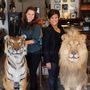 Pièces uniques - Notre showroom & Atelier - handmade decorative objects  - DMW.NU: TAXIDERMY & INTERIOR