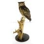 Unique pieces - Owl taxidermy - decorative item - DMW.NU: TAXIDERMY & INTERIOR