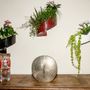 Other wall decoration - Wall Flower Pot Modul'Green - GREEN'TURN