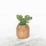 Decorative objects - Walnut geometric pot - OAKYWOOD