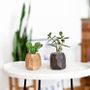 Decorative objects - Walnut geometric pot - OAKYWOOD