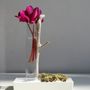 Decorative objects - Composition Soliflora - CHAPITRE MAISON