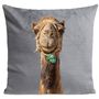 Fabric cushions - Smiling CAMEL Cushion 40*40 - ARTPILO