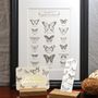 Poster - Art print Extraordinary Butterflies - L'ATELIER LETTERPRESS