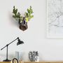 Other wall decoration - Lovers' Oak - Eco-friendly deer head - MIHO UNEXPECTED THINGS