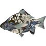 Decorative objects - Carpe Diem - Decorative fish - MIHO UNEXPECTED THINGS
