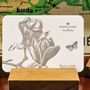 Carterie - Carte Magnolia de Chine - L'ATELIER LETTERPRESS
