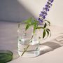 Design objects - Agave Glass Container - OCTAEVO
