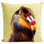 Coussins textile - BOBO Coussin 40*40 - ARTPILO