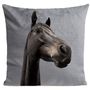 Coussins textile - CURIOUS HORSE Coussin 40*40 - ARTPILO