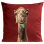Fabric cushions - CAMEL Cushion 40*40 - ARTPILO