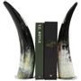Decorative objects - Bookends from black horn set/2 - MOON PALACE