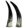 Decorative objects - Bookends from black horn set/2 - MOON PALACE