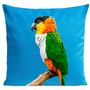 Coussins textile - COCO Coussin 40*40 - ARTPILO