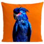 Coussins textile - PUNKY PERROT Coussin animal 40*40 - ARTPILO