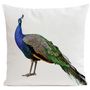 Fabric cushions - ROYAL PEACOCK Cushion 40*40 - ARTPILO