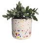 Decorative objects - Cylinder flower pot - LES PIEDS DE BICHE