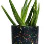 Decorative objects - Cylinder flower pot - LES PIEDS DE BICHE