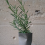 Vases - Small Vase Crinkled Concrete Tumbler - L'ATELIER DES CREATEURS