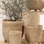 Floral decoration - Flowerpot indoor neutral - QUETZALES