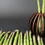 Decorative objects - bowl AVARITIA S14 - THÉSIGN