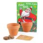 Gifts - Santa Claus Planting Kit - Spruce - RADIS ET CAPUCINE