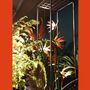 Décorations florales - Tropical Heat - COACH HOUSE
