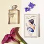 Fragrance for women & men - MADAME'S WATER - FERET PARFUMEUR