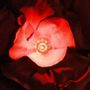 Décorations florales - Fleurs lumineuses - ROSE VELOURS