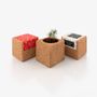 Other smart objects - Grow Cube - LIFE IN A BAG