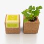 Autres objets connectés  - Grow Cube - LIFE IN A BAG