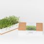 Other smart objects - Grow Box Microgreens - DO NOT USE - LIFE IN A BAG