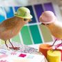 Homewear - Garden Birds – Floral Hats - DCUK