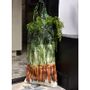 Homewear - Vegetable bag - Carrots bag - MARON BOUILLIE