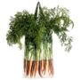 Homewear - Vegetable bag - Carrots bag - MARON BOUILLIE