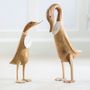 Homewear - Natural Finish Ducklets - DCUK