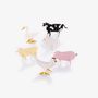 Other smart objects - Farm Friends - Set of 6 farm animals to setup, play and plant - DO NOT USE - LIFE IN A BAG