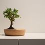 Other smart objects - Cork Planter - DO NOT USE - LIFE IN A BAG