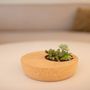 Other smart objects - Cork Planter - DO NOT USE - LIFE IN A BAG