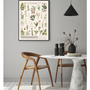 Poster - POSTER I AROMATIC PLANTS - LES JOLIES PLANCHES