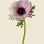 Floral decoration - Anemones - LILJEBERGS