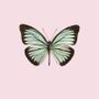 Poster - Pastel butterflies - LILJEBERGS