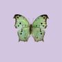 Poster - Pastel butterflies - LILJEBERGS