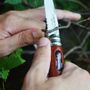 Gifts - COYOTE TREKKING - Locking ferrule knives - VERDIER COUTELLERIE